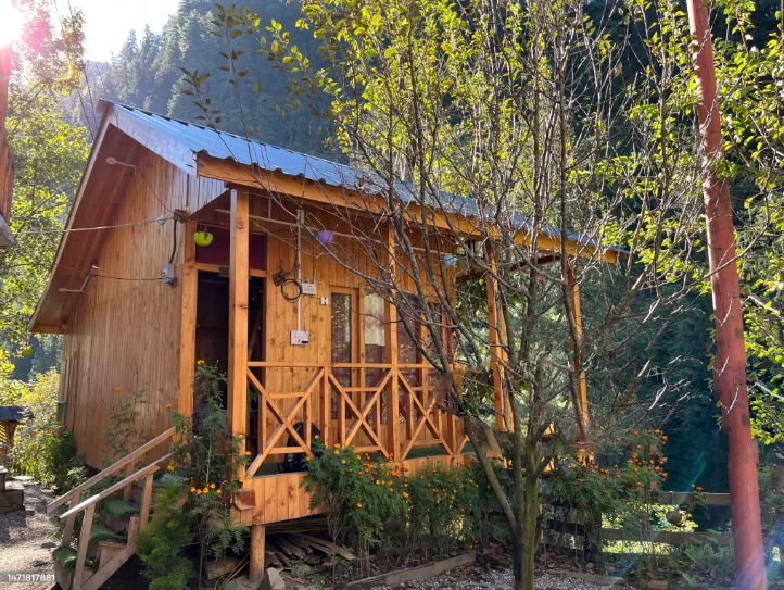 wooden cabin